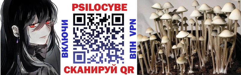 Галлюциногенные грибы Psilocybine cubensis  Котово 
